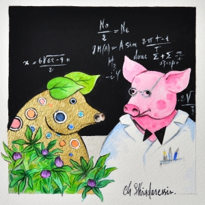 L1C02 - Le petit cochon qui avait raison