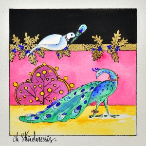 L3C04 - La colombe et le paon vert narcissisque